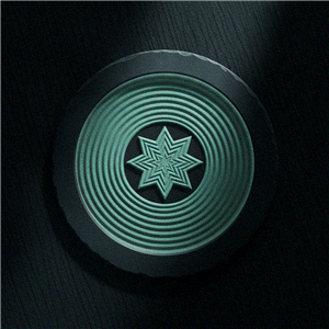 Spinzen